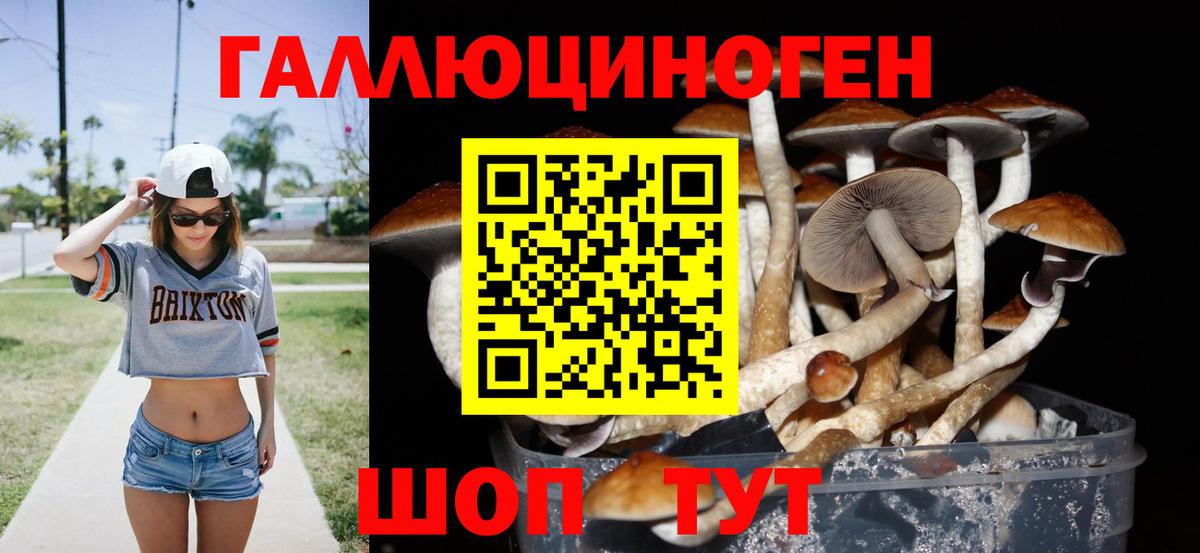 Галлюциногенные грибы ЛСД Туапсе